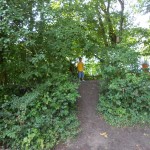 Außengelände 3